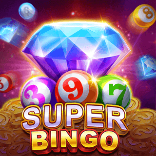 Super Bingo game cover